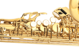 MG-60 Golden Alto - 2