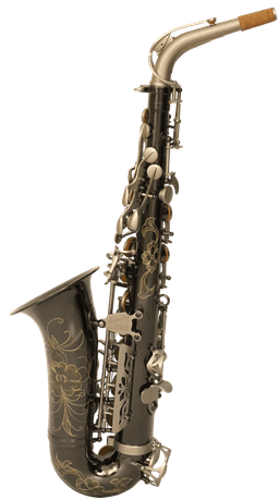 MBN-60 Black Nickel Body Dotted-Nickel Key Alto - 1