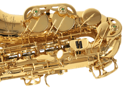 MG-60 Golden Alto - 4