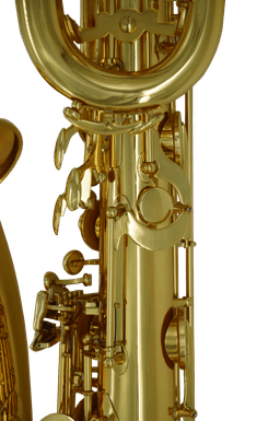 MG-60 Golden Baritone - 4
